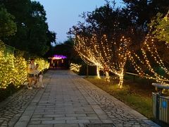 -苏州太湖国家湿地公园