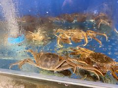 -圣罗巴海鲜自助(黑金店)