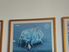 -瑞派福兴宠物医院犬猫全科·骨科·中西医结合(河东店)