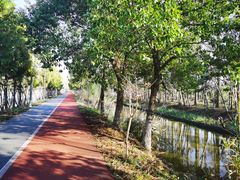 -上海长兴岛郊野公园