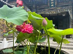 -云锦成公馆(北大街店)