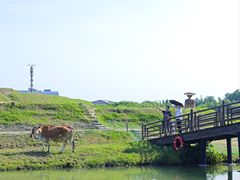 -乌村