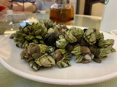 白灼狗爪螺-万山楼海鲜酒家·二十三年老字号