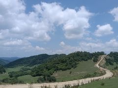 -关山草原