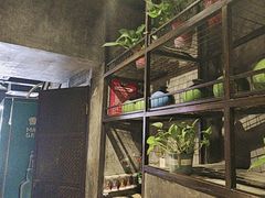 -0048鲜活香辣虾·火锅(铜陵路店)