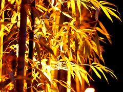 -皇城根·鲁菜济南菜·吊炉烤鸭·炒鸡鱼头(济南旗舰店)