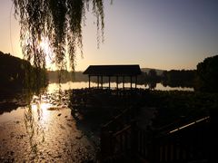 -上海市保健医疗中心