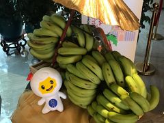 -白天鹅宾馆·流浮阁咖啡厅