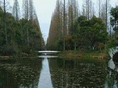-东平国家森林公园