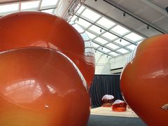 -精绝七日-新疆尼雅遗址数字大展【拉法耶文化艺术中心】