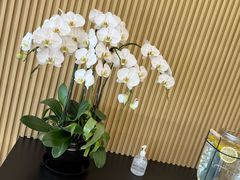 -Z&B Fitness Studio·Gym(前滩L+PLAZA店)