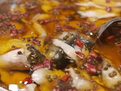 -成都驻京办餐厅(蜀都宾馆店)