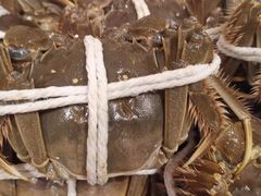 -黄记大闸蟹专卖店·活蟹·醉蟹
