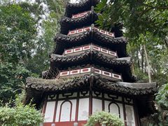 -深圳国际园林花卉博览园