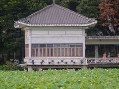 -荔湾湖公园