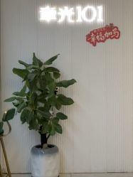 -章光101防脱养发荟