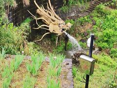 -磐安舞龙峡景区