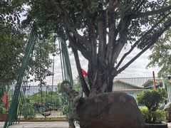 -一寨两国风景区