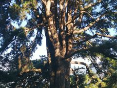 -终南山南五台景区