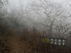 -龙道沟景区