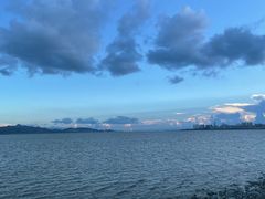-深圳湾公园(南山区)