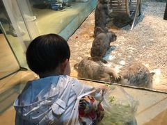 -台州海洋世界
