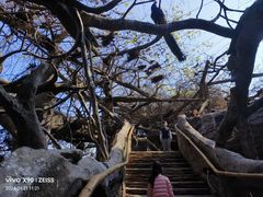-长鹿旅游休博园