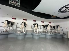 -蒙牛工业旅游景区