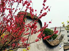 -乌山风景区