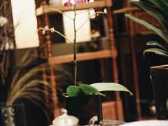 -深圳隐秀山居酒店