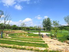 -盘龙城国家考古遗址公园