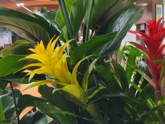 -云海肴·汽锅鸡·云南菜(曲江大悦城店)