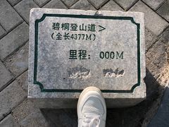 -梧桐山风景名胜区