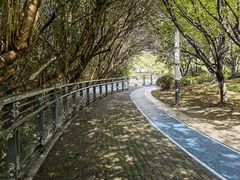 -苏州河梦清园环保主题公园