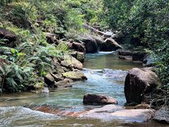 -广州白江湖森林公园