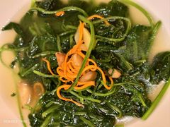 -湛江民大喜来登酒店-采悦轩中餐厅