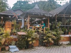 -Jungle Kitchen