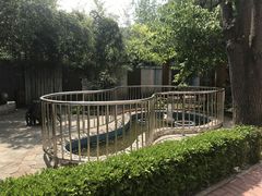 -金雁飞鸣双语幼儿园