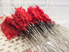 -邢氏老太太烤串(北兴街店)