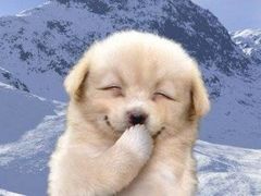 -聚德福海鲜家常菜(刘庄店)