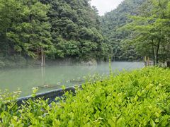 -磐安十八涡风景区