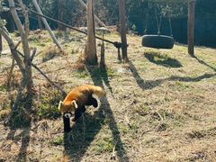 -宁波野生动物园