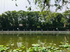 -济南大明湖景区
