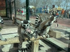 -水上乐园·欢乐世界