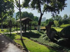 -滨湖塘西河公园