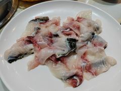 -港升鱼师傅·中山脆肉鲩