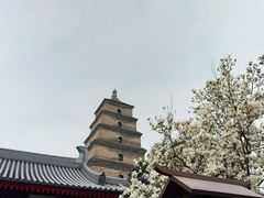 -大慈恩寺(大雁塔)