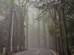 -缙云山景区