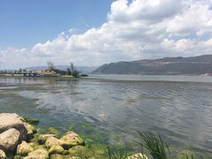 -才村湿地公园