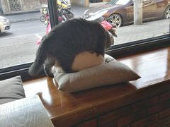 -B.O.M波姆烘焙(凤凰街店)